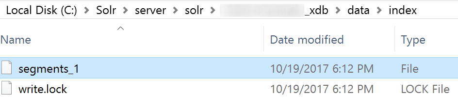 SolrCore-Write-Lock